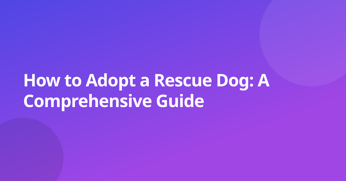How to Adopt a Rescue Dog: A Comprehensive Guide