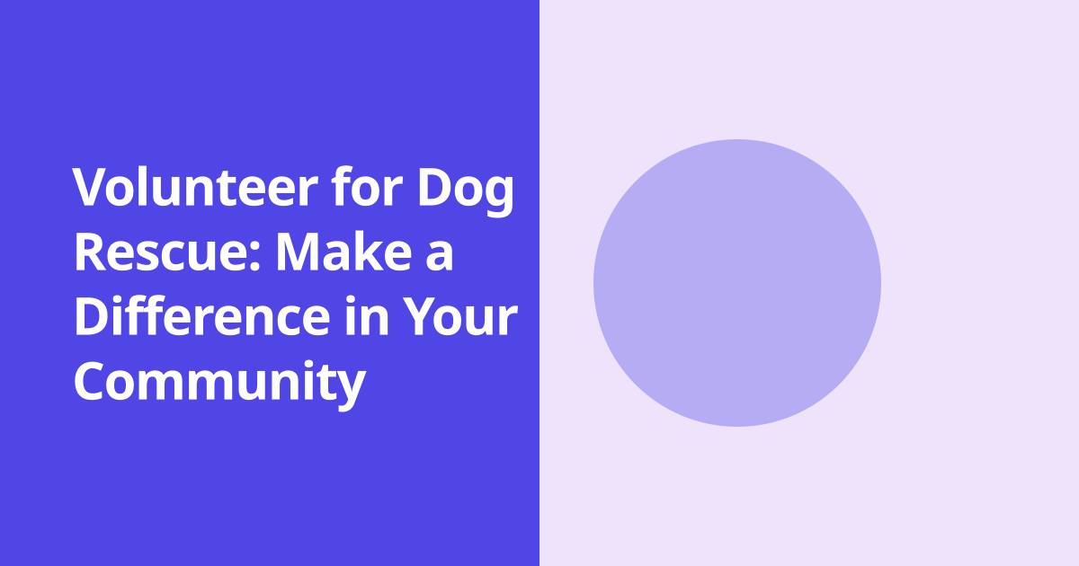 Volunteer for Dog Rescue: Make a Difference in Your Community