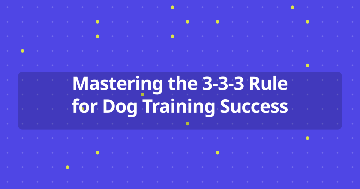 Mastering the 3-3-3 Rule for Dog Training Success