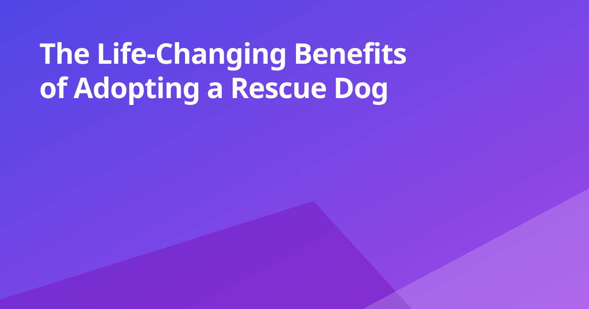 The Life-Changing Benefits of Adopting a Rescue Dog